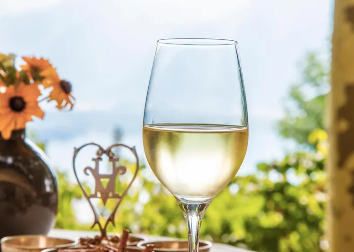 Hotel Victoria Glion 4*