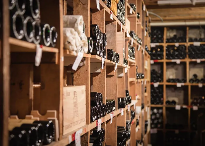 ヴィクトリア グリオン 4* モントルー