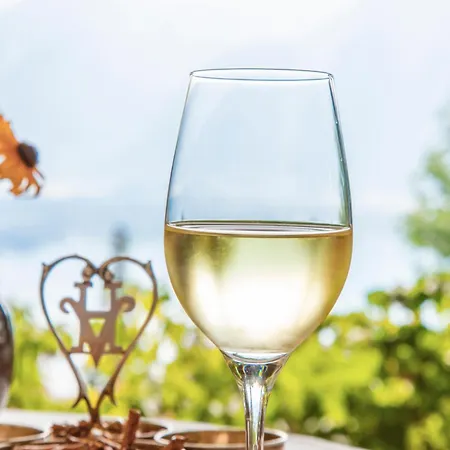 Ξενοδοχείο Victoria Glion 4*