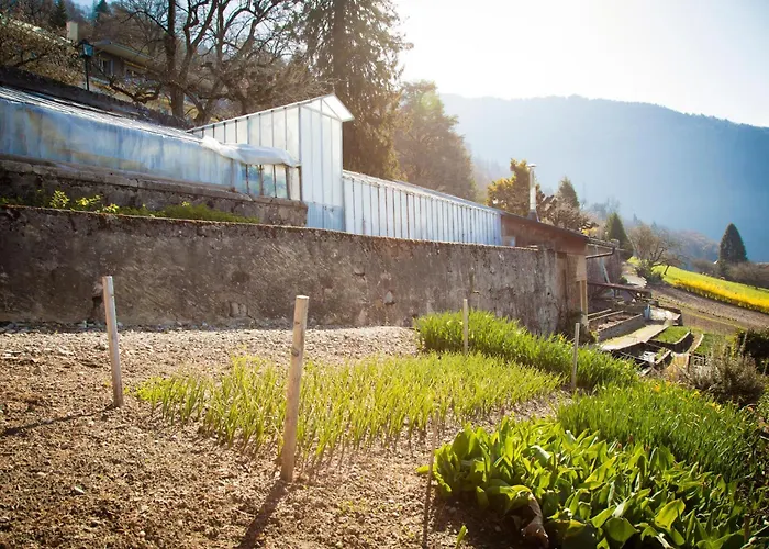 Victoria Glion מונטרה